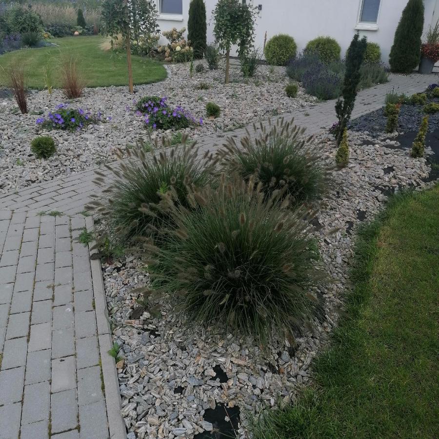 "Lawendowe Wzgorze" Villa Zastan ภายนอก รูปภาพ